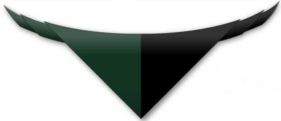 Our neckerchief is green and black