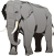Hathi - elephant