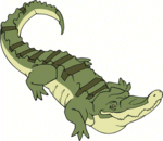 Jacala - crocodile