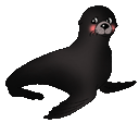 Matkah - seal mother