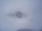 Fox pawprint in the snow